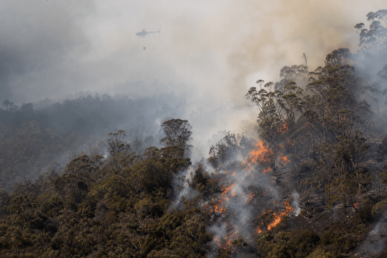 Tasmania bushfire alerts remain active as strong winds challenge crews