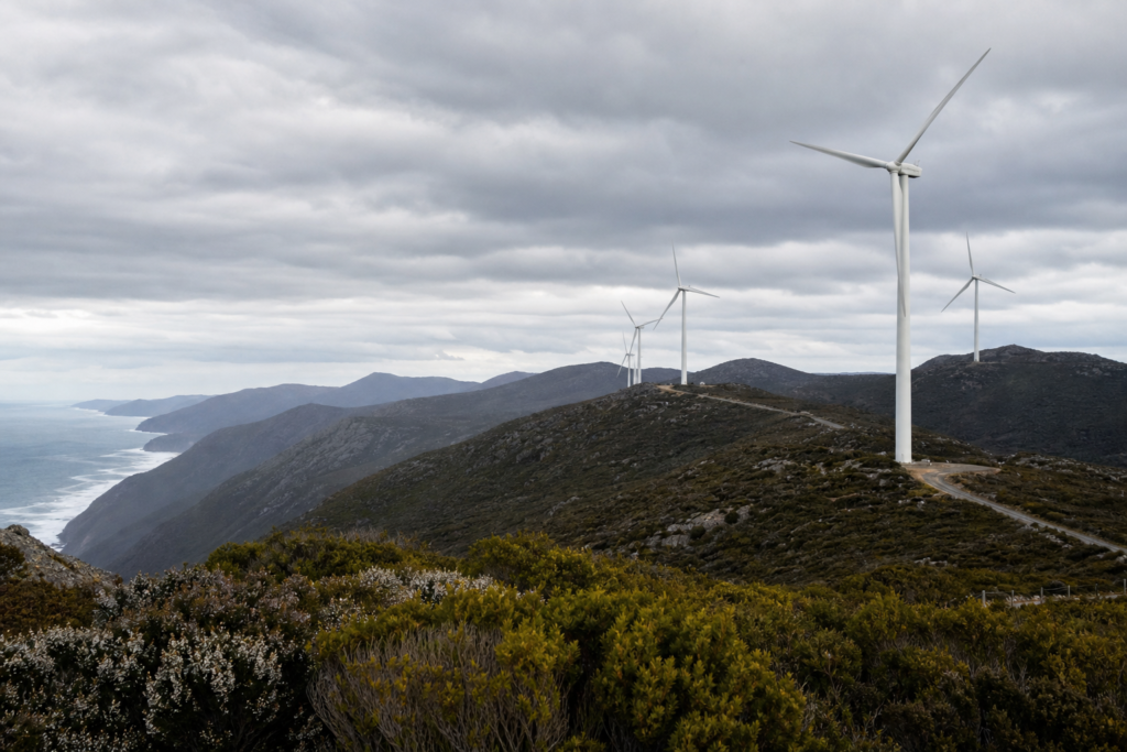 Tasmania West Coast Wind Farm Plan Faces Scrutiny