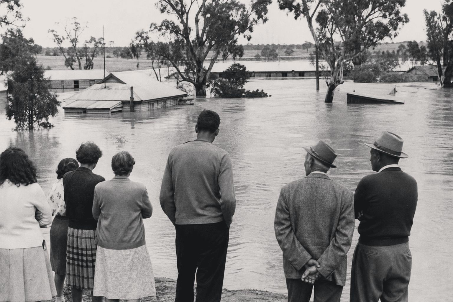 Riverland residents recall South Australia’s 1956 flood