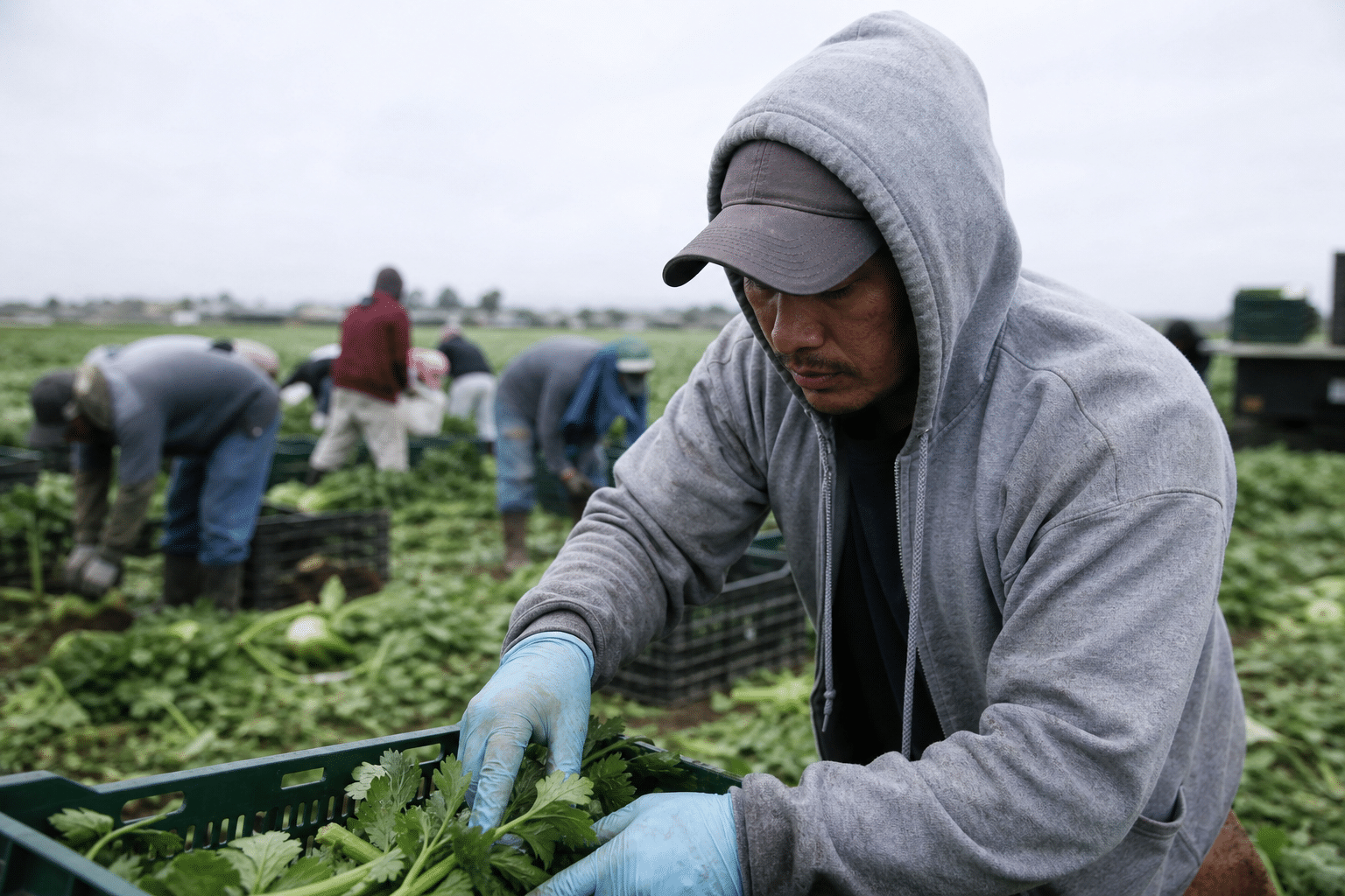 ABNs Reportedly Used to Underpay Migrant Workers