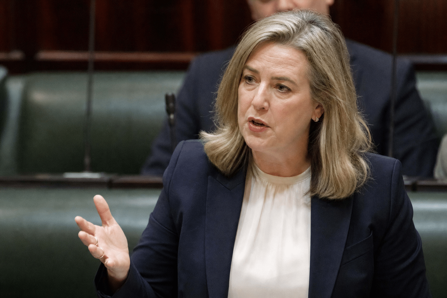 Carroll warns of One Nation as Victorian election nears