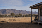 Coroner urges action after infant death in Alice Springs