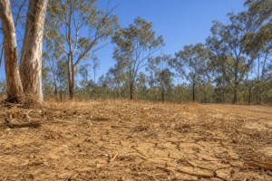 Hot, Dry Weather Raises Queensland Fire Risk