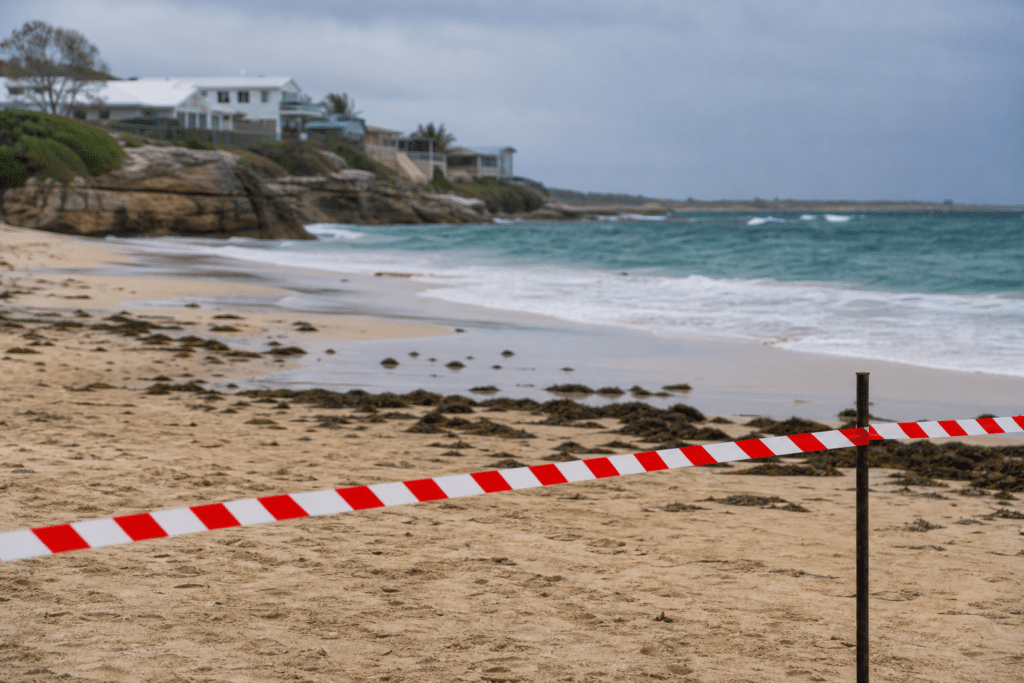 Sorrento Beach Closed After Suspected Shark Attack