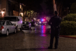 Woman Dies After Alleged Partner Stabbing