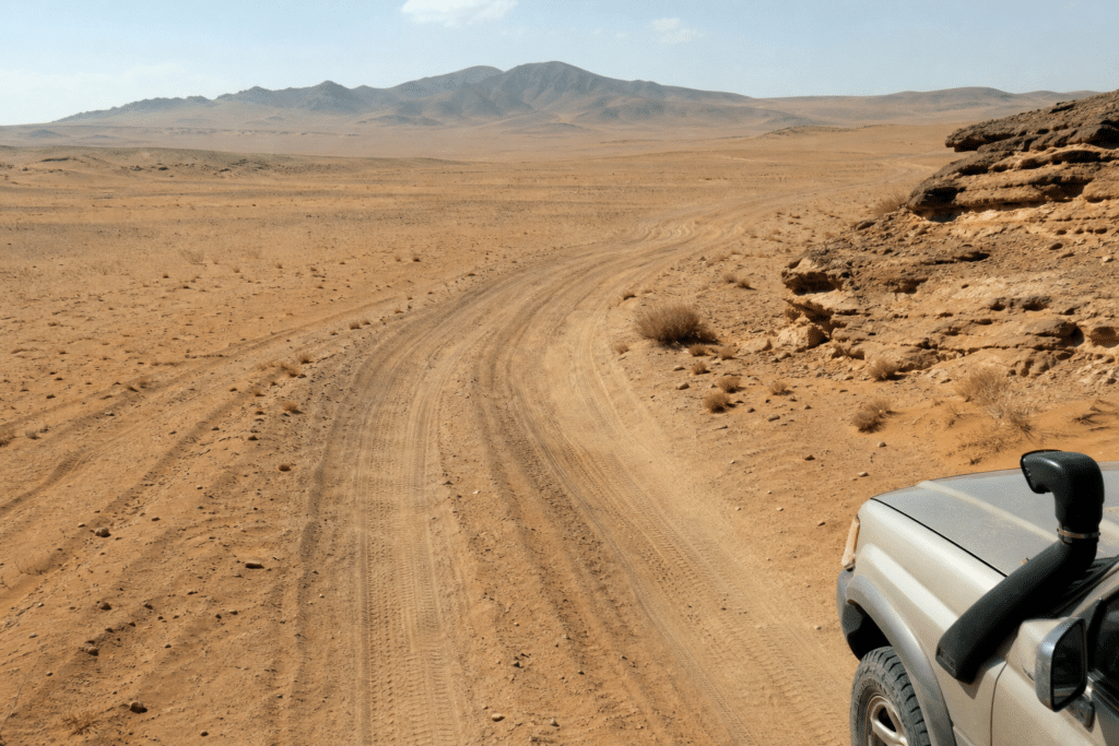 Sand Roads Traces Friends’ Record Journey and Loss