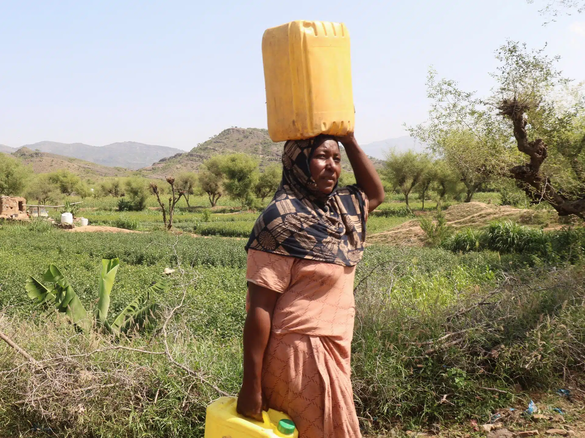 Yemen Conflict Disrupts Aid Routes and Port Supplies