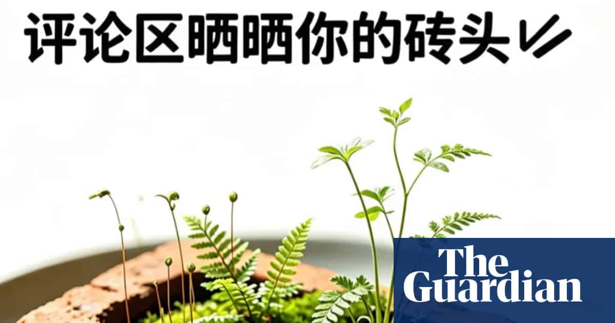 China’s Young Adults Turn to Raising Bricks
