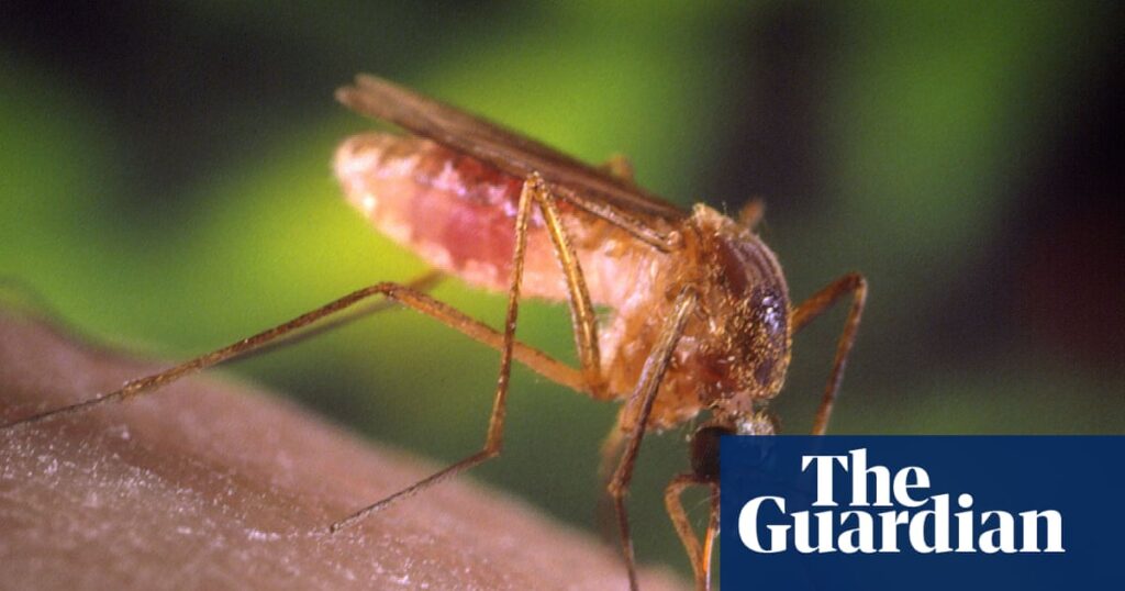Los Angeles Faces Severe Mosquito Season