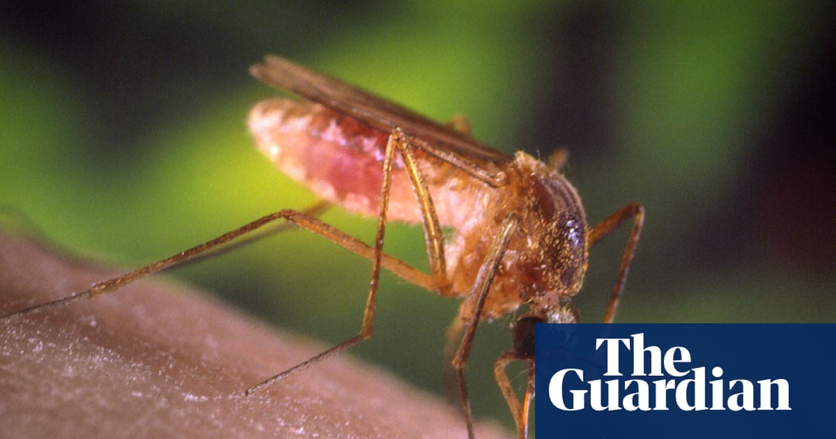 Los Angeles Faces Severe Mosquito Season