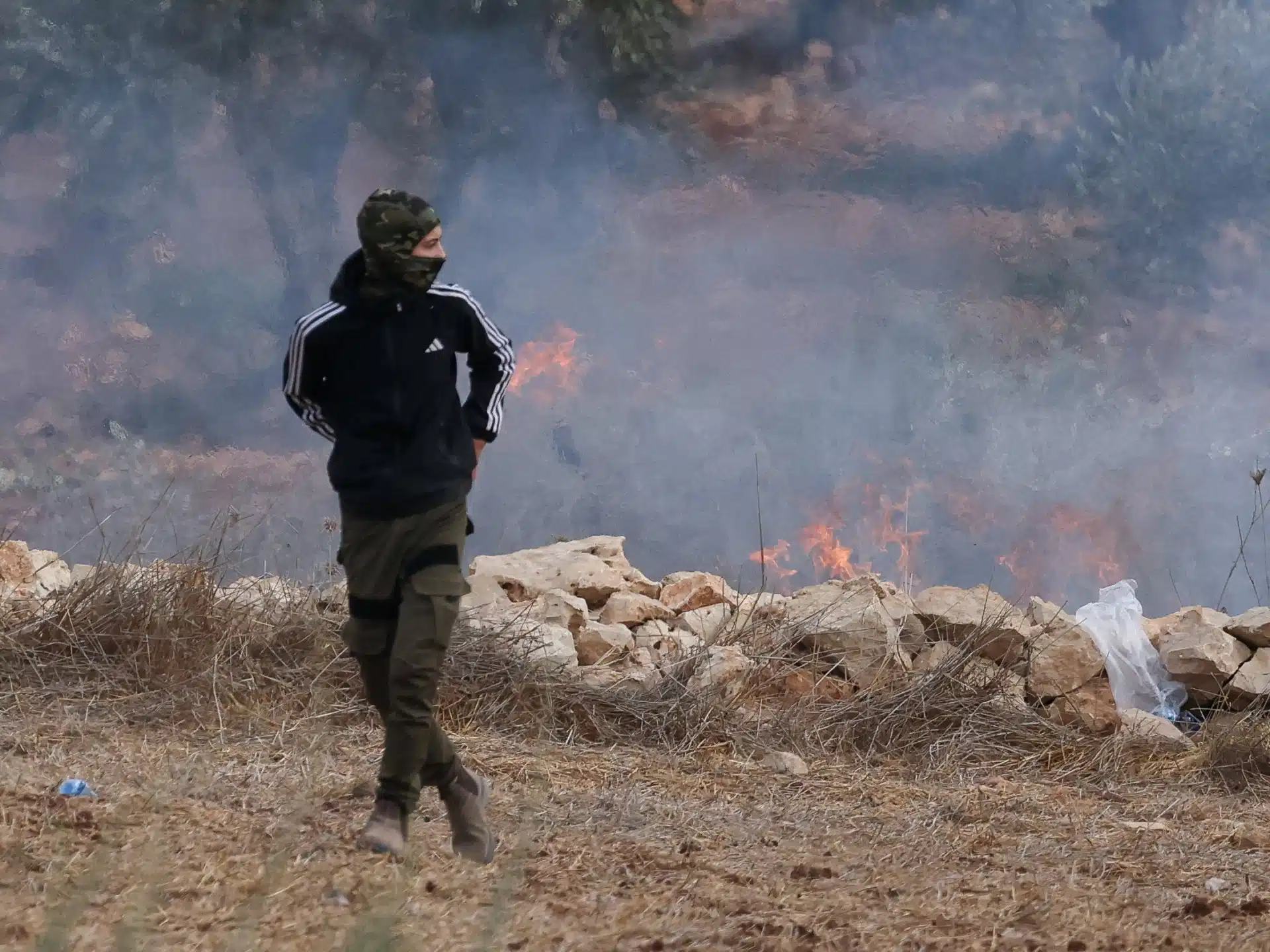 Settler Attacks Hit Harvesters, Journalist and Diplomats
