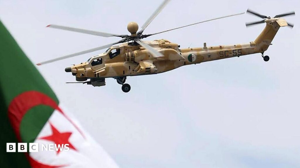 Algeria approves troop deployment to Niger
