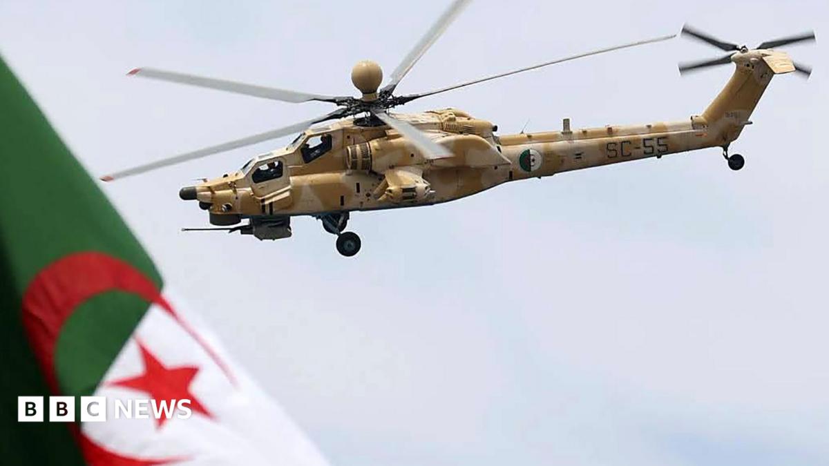 Algeria approves troop deployment to Niger