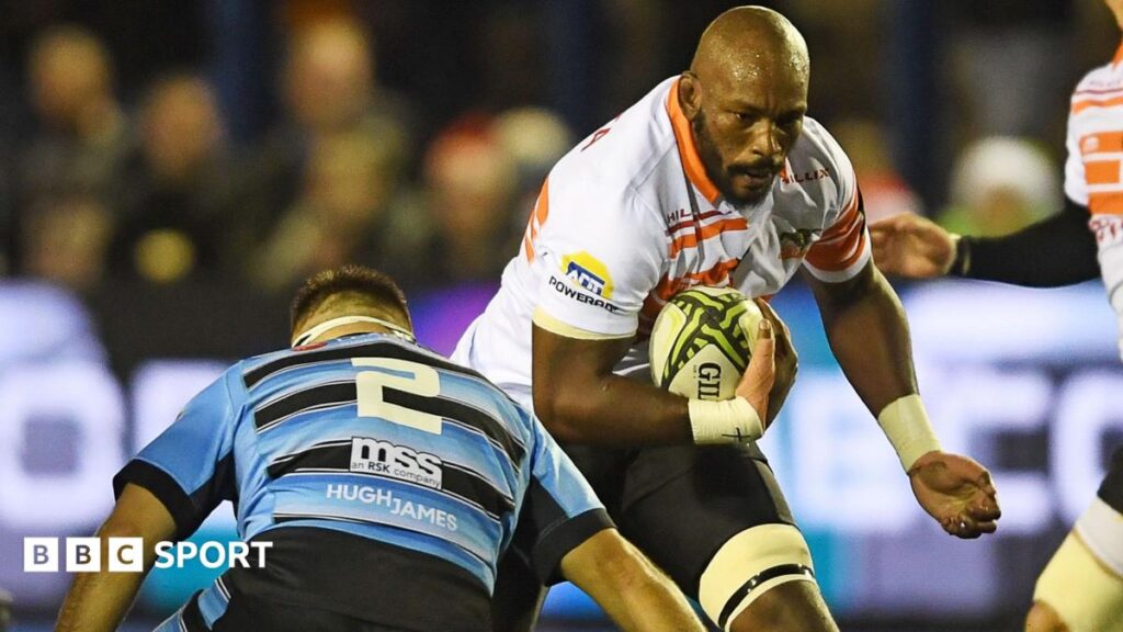 Cheetahs to stage European home games in Swansea