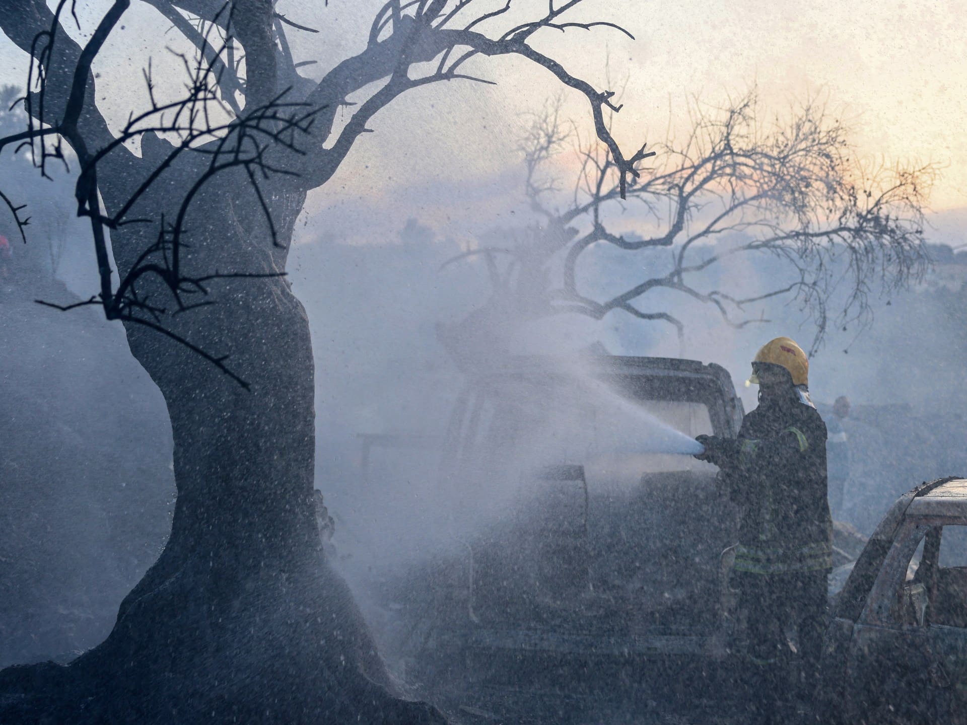 Olive Harvest Faces Attacks Across West Bank