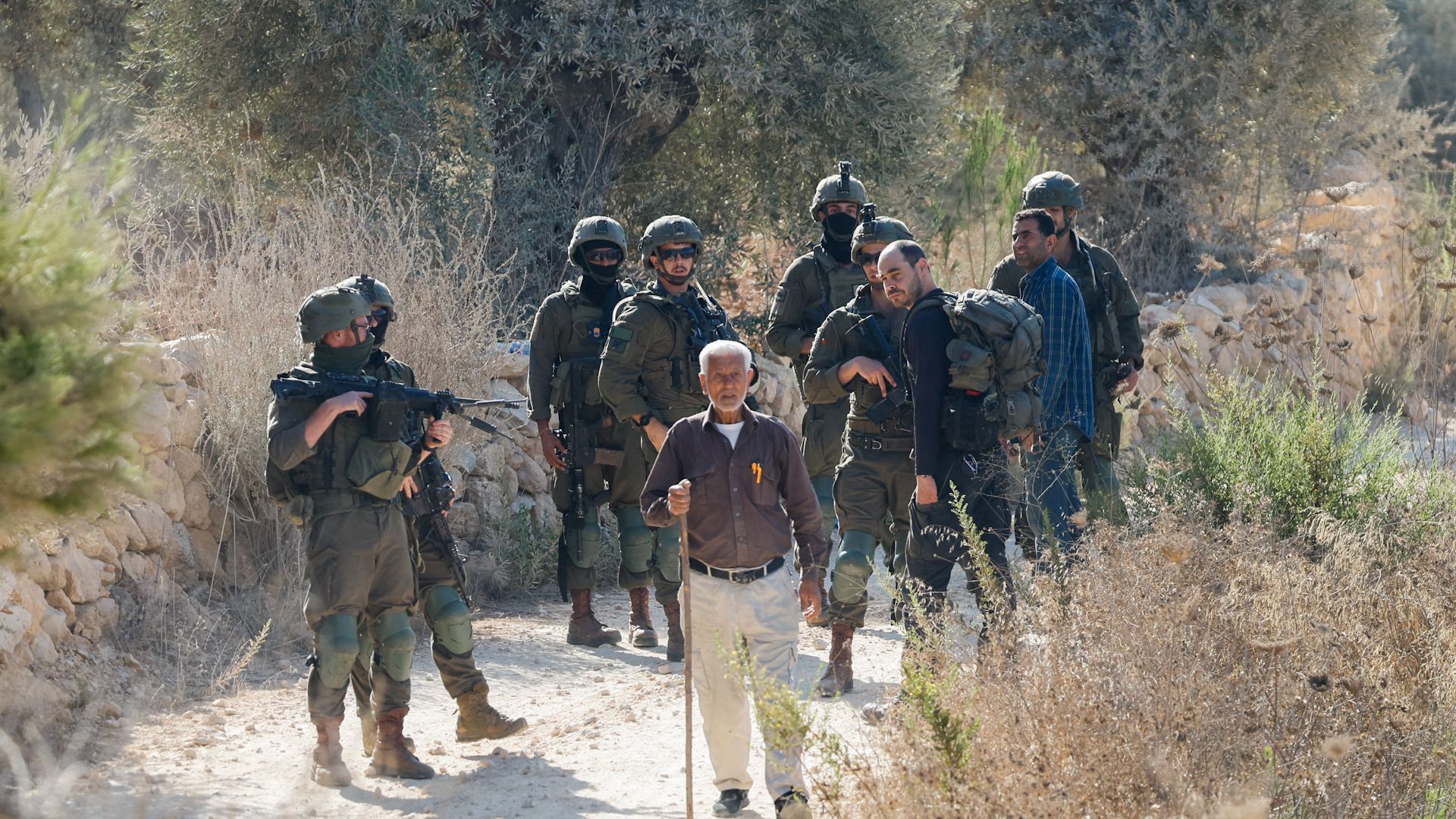 Olive Harvest Farmers Attacked and Blocked in West Bank