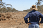 Farmer fined $60,000 over Port Wakefield vegetation clearing