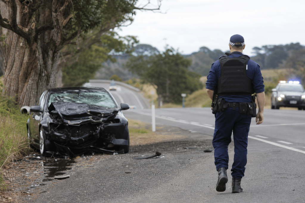 Driver charged over fatal Moana crash