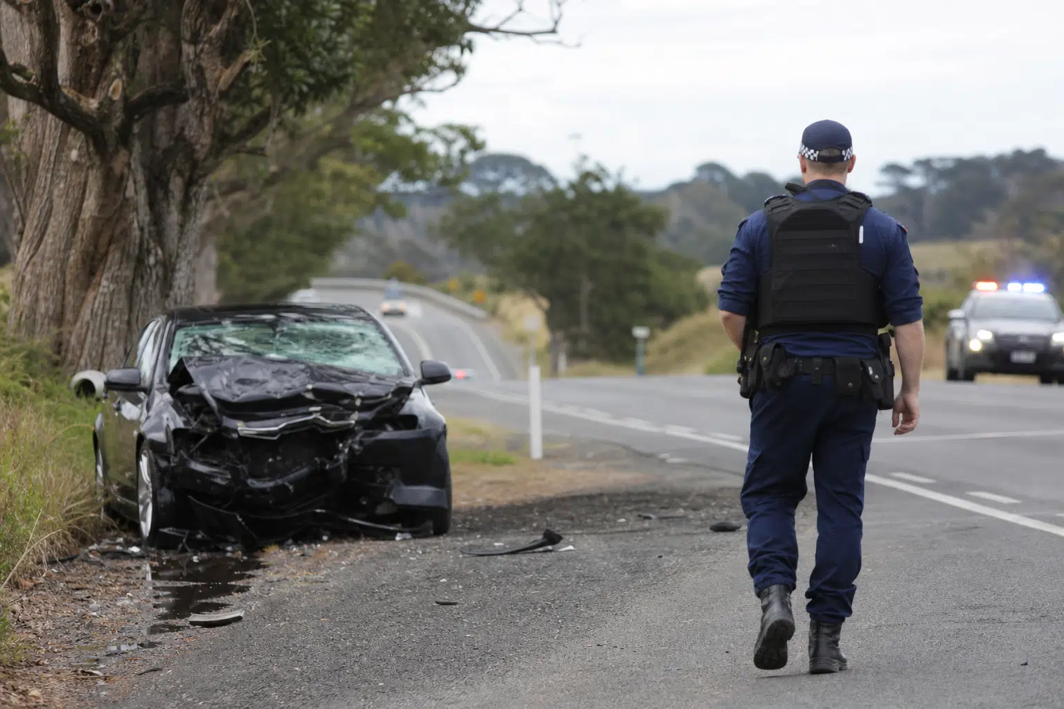 Driver charged over fatal Moana crash