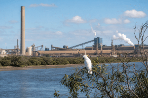 Alcoa faces stricter Perth water and cockatoo protections