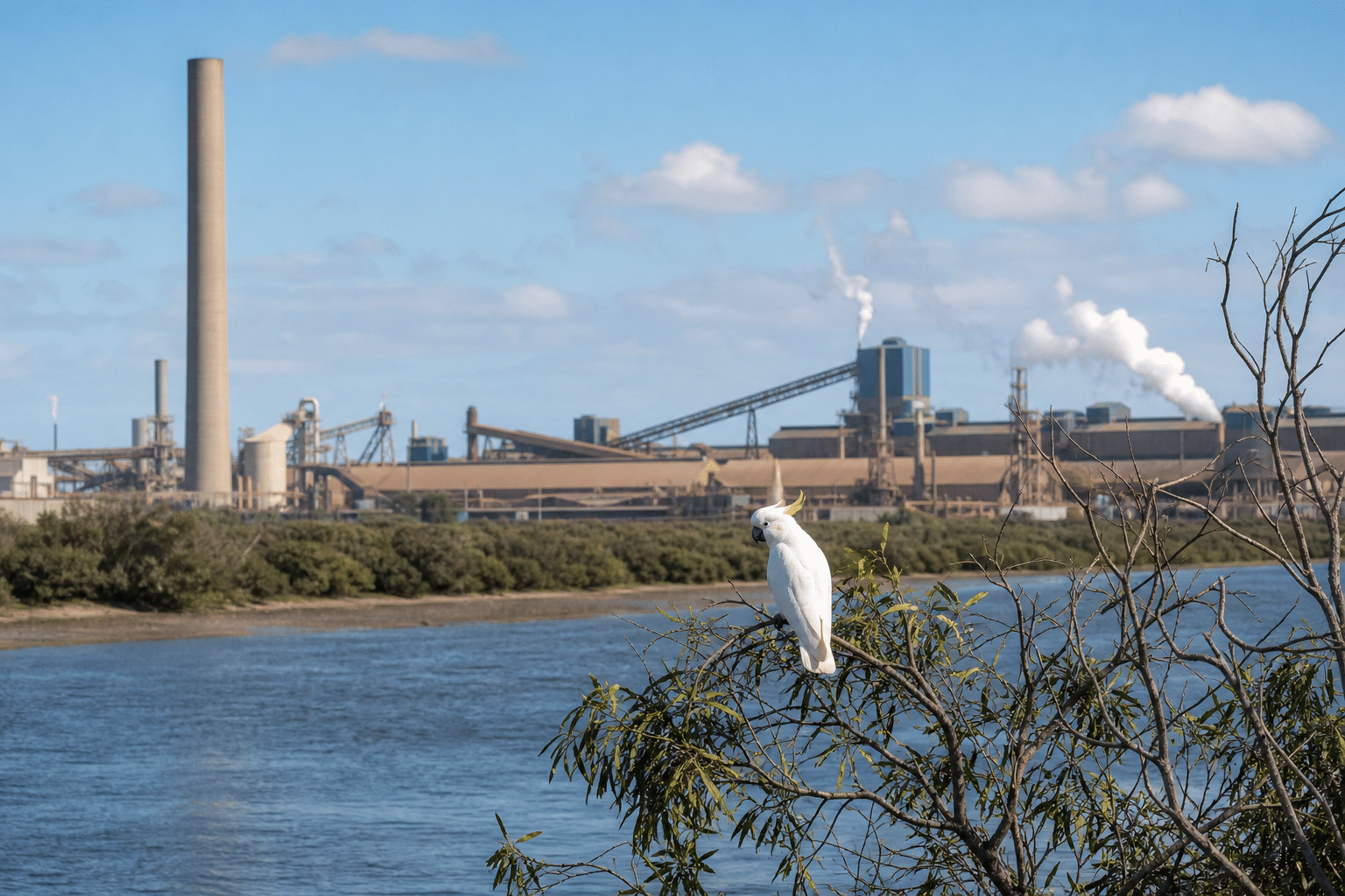 Alcoa faces stricter Perth water and cockatoo protections