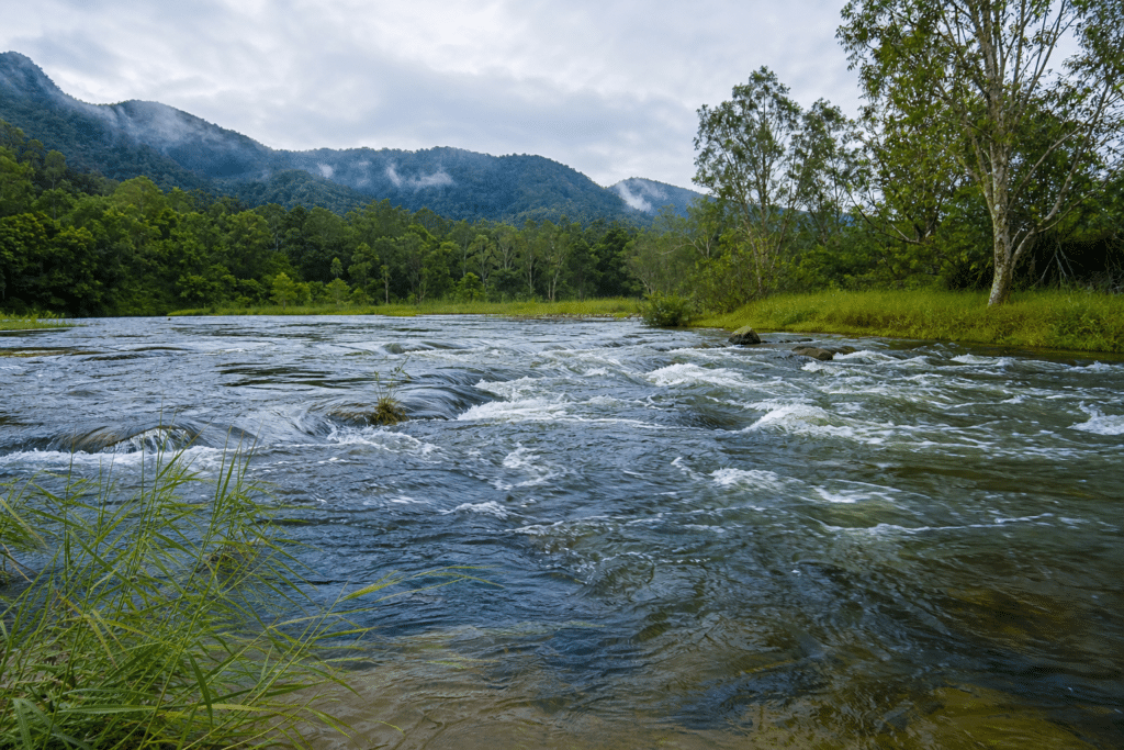Far North Queensland Defies State’s Dry Spring
