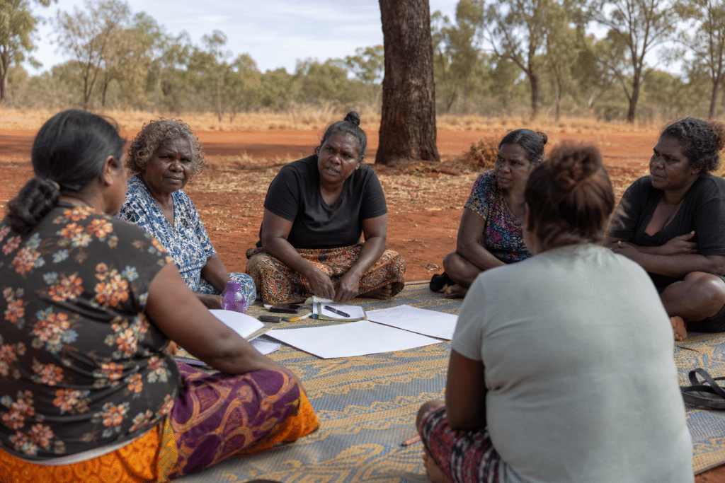 Remote NT women propose domestic violence solutions