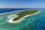 Lady Elliot Island Restored From Guano Mining Damage