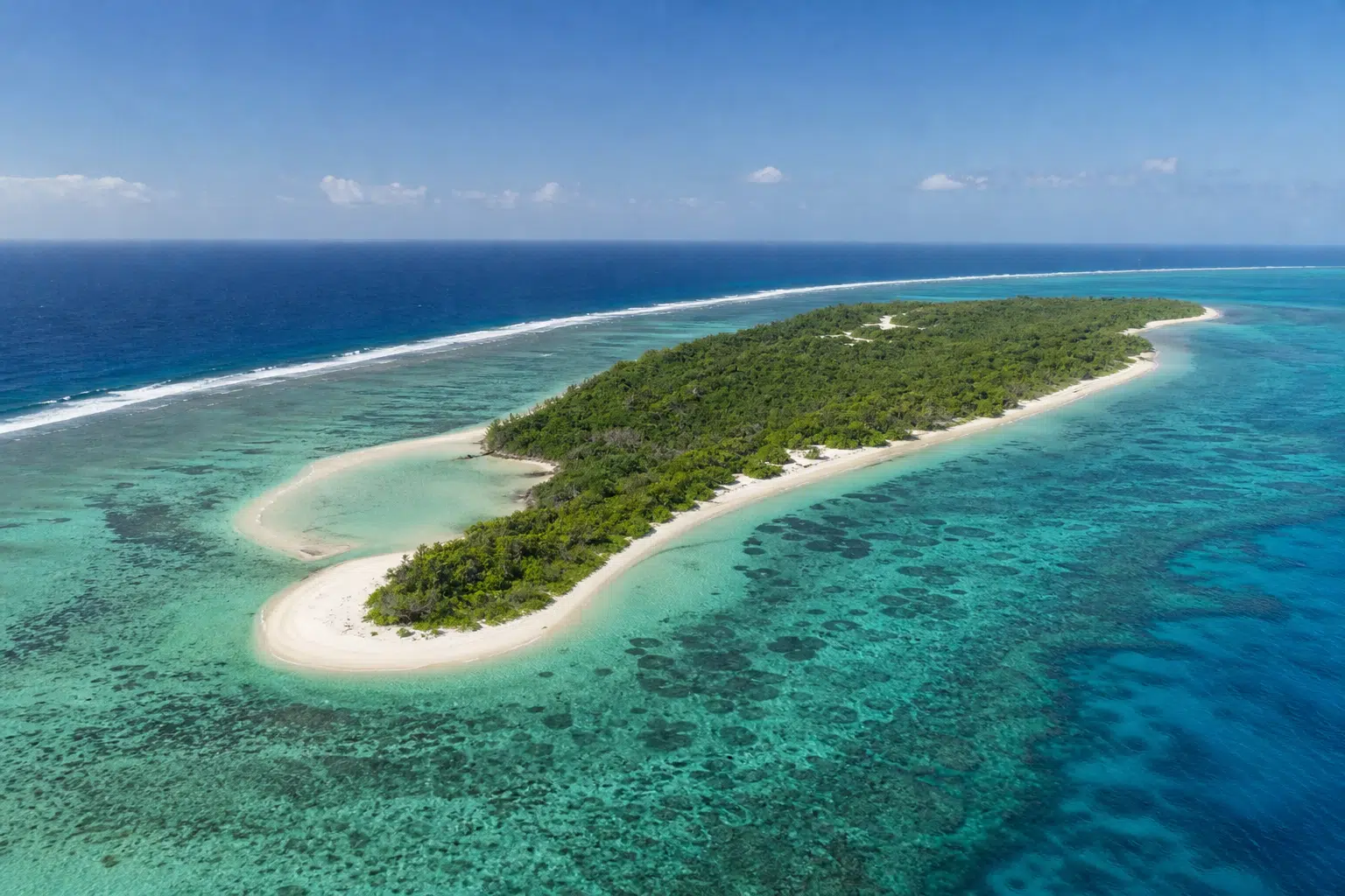 Lady Elliot Island Restored From Guano Mining Damage