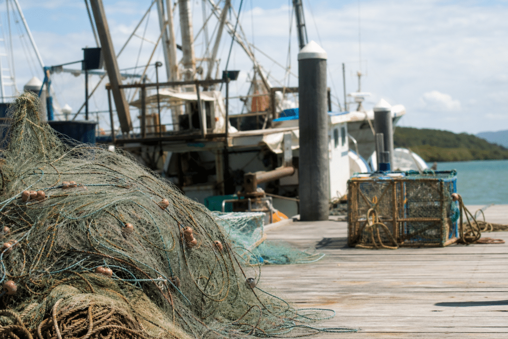 Gillnet Ban Raises Fears for North Queensland Seafood Businesses