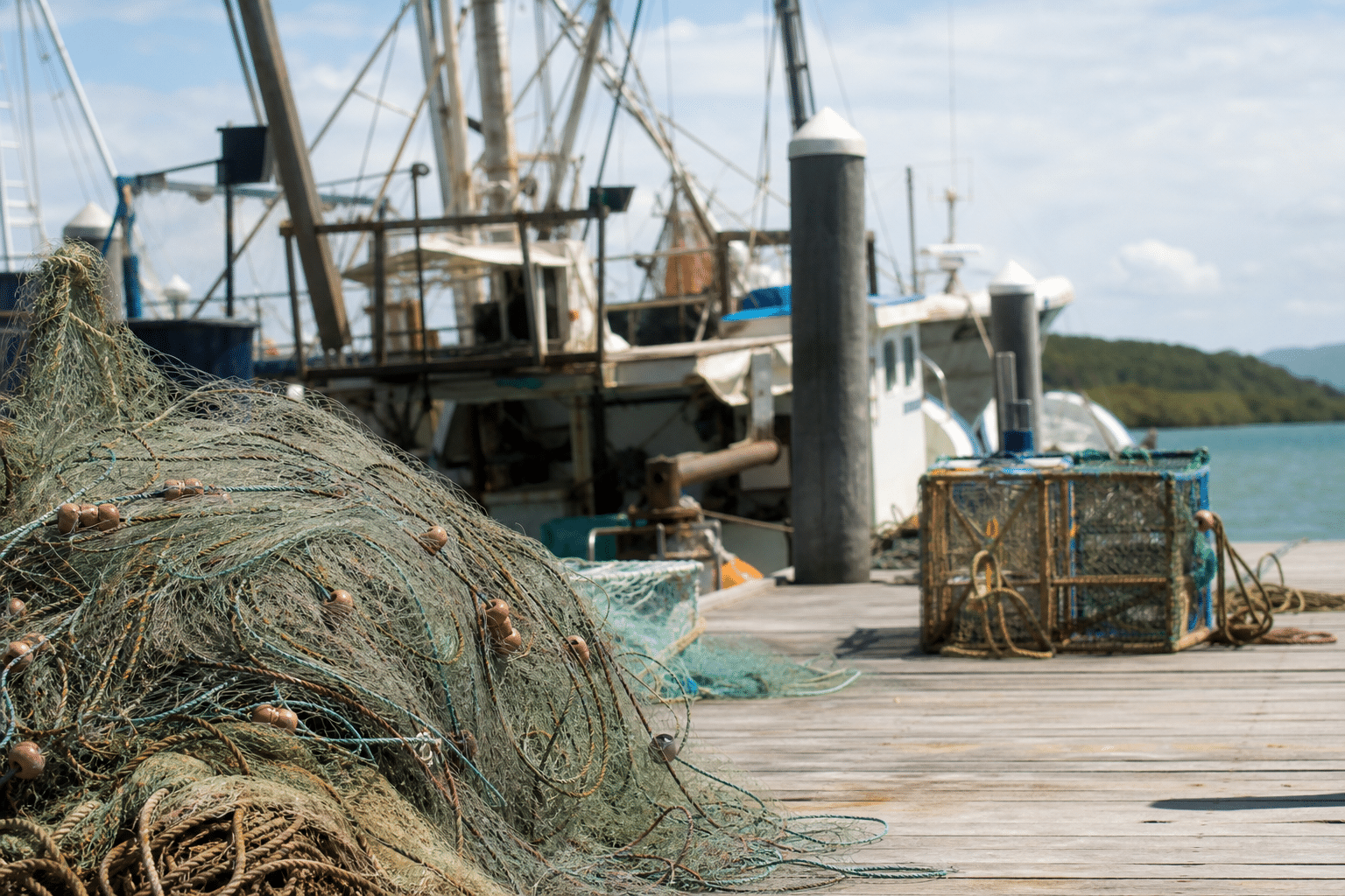 Gillnet Ban Raises Fears for North Queensland Seafood Businesses