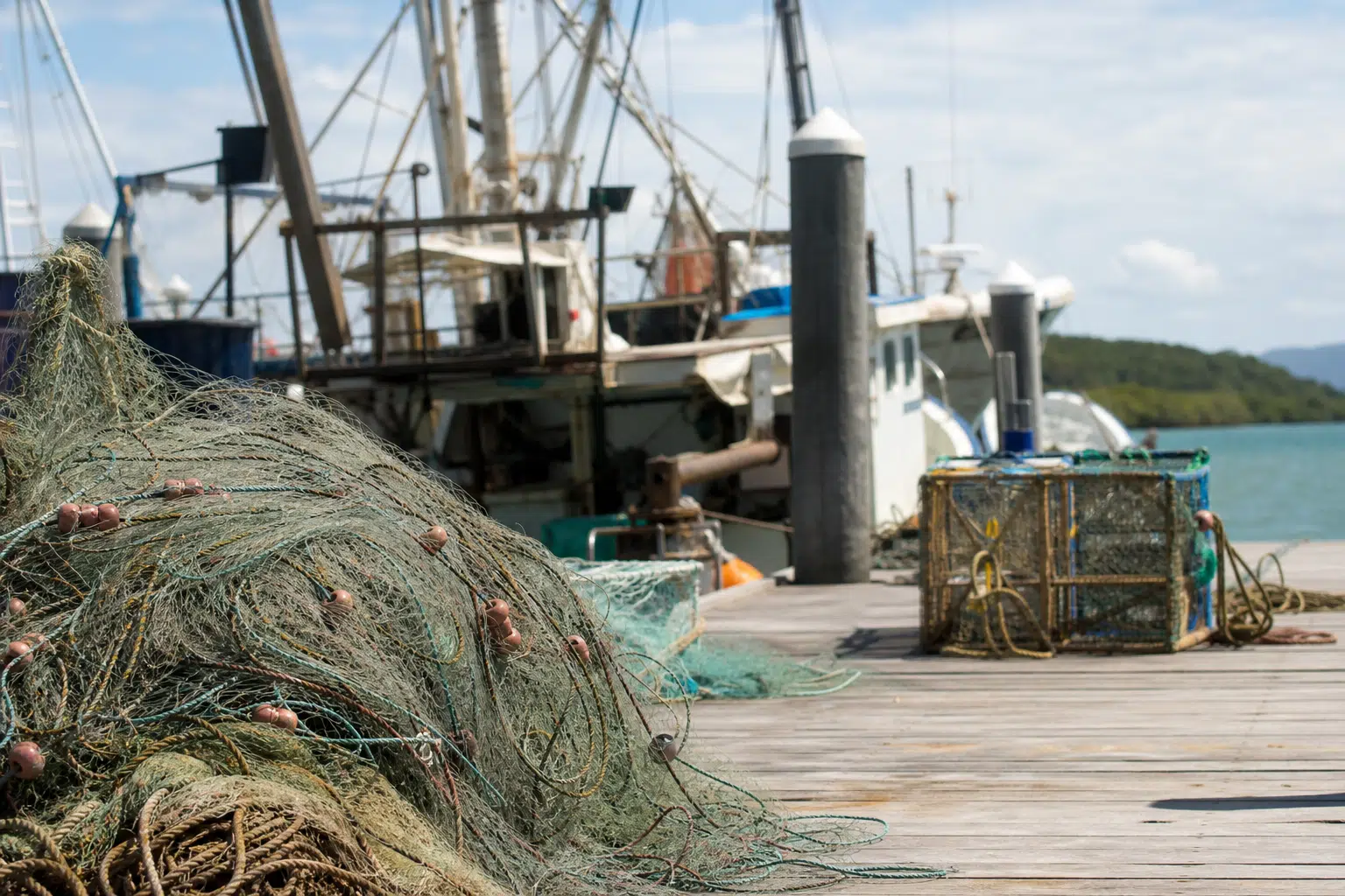 Gillnet Ban Raises Fears for North Queensland Seafood Businesses