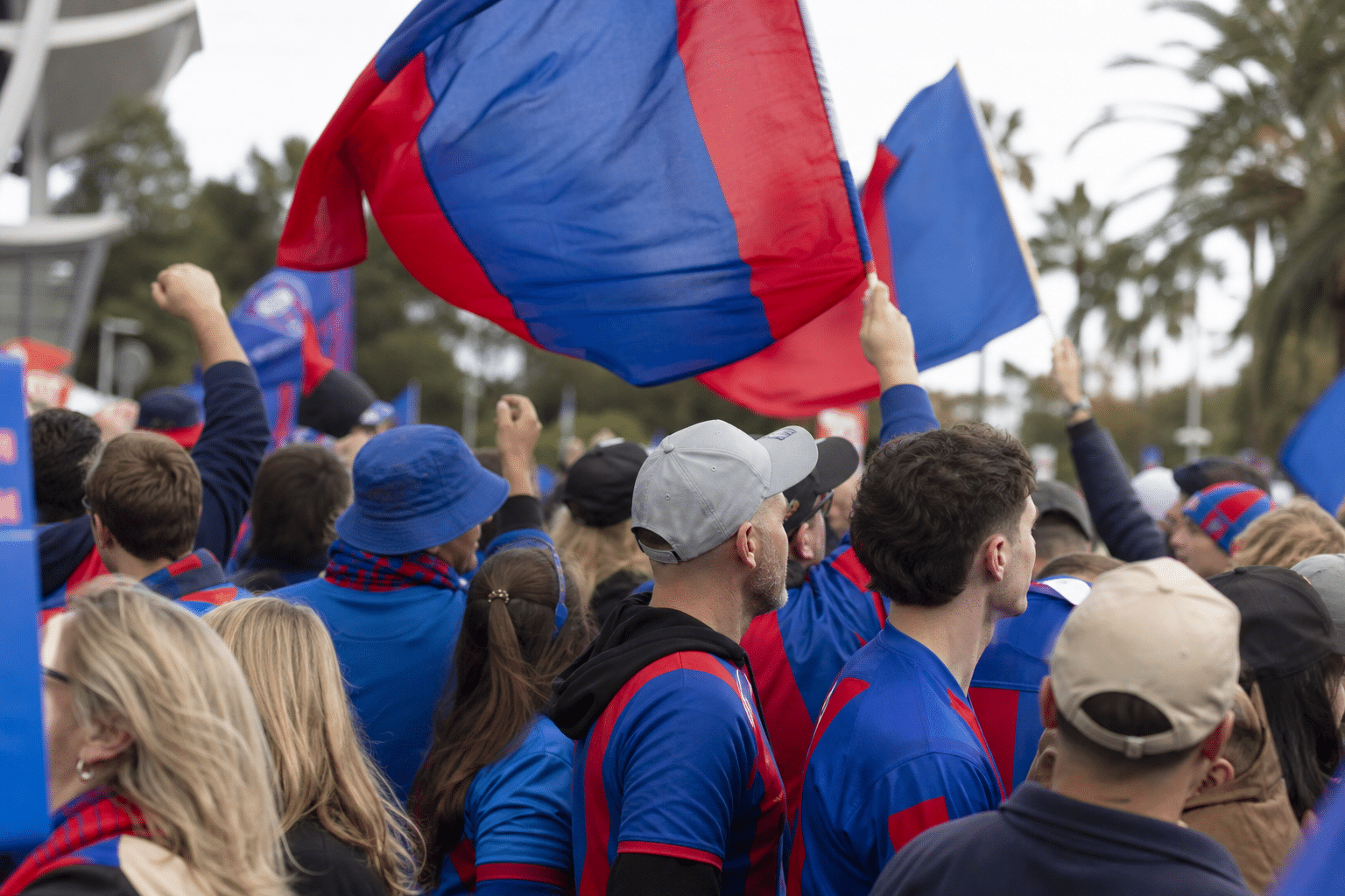 Knights Fans Rally Before NRL Grand Final