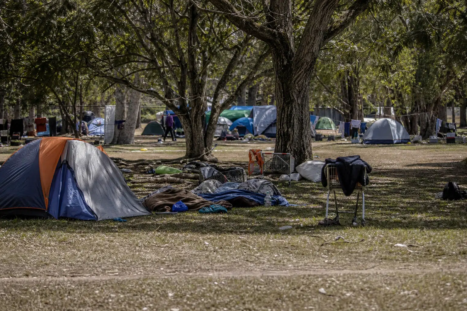 Queensland Agency Challenges Wyllie Park Homeless Camp