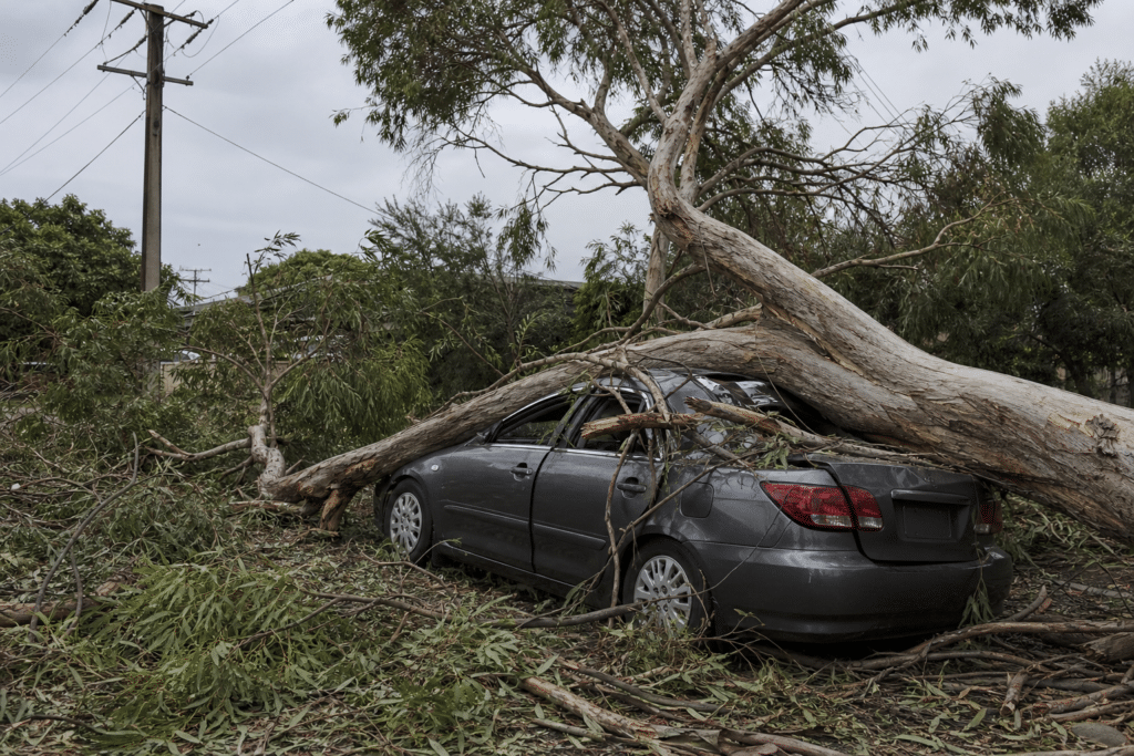 Storm Winds Damage Cars and Cut Power in South Australia