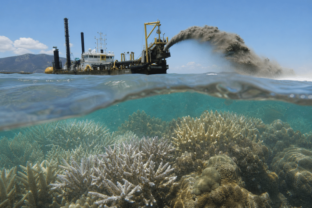 Townsville dredging timing raises coral spawning concerns