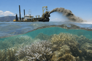 Townsville dredging timing raises coral spawning concerns