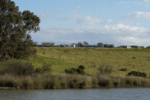 Goolwa Landowner Defends Proposed McDonald’s Development