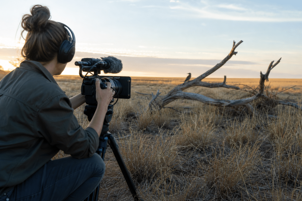 Wheatbelt Conservation Film Reaches Global Festival