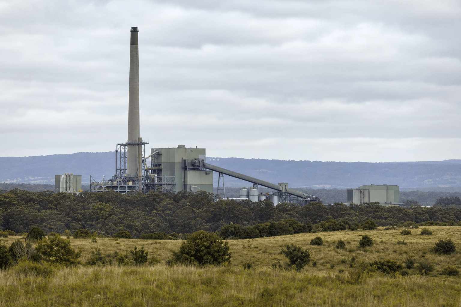 NSW Inquiry Urges Halt to Regional Incinerator Plans