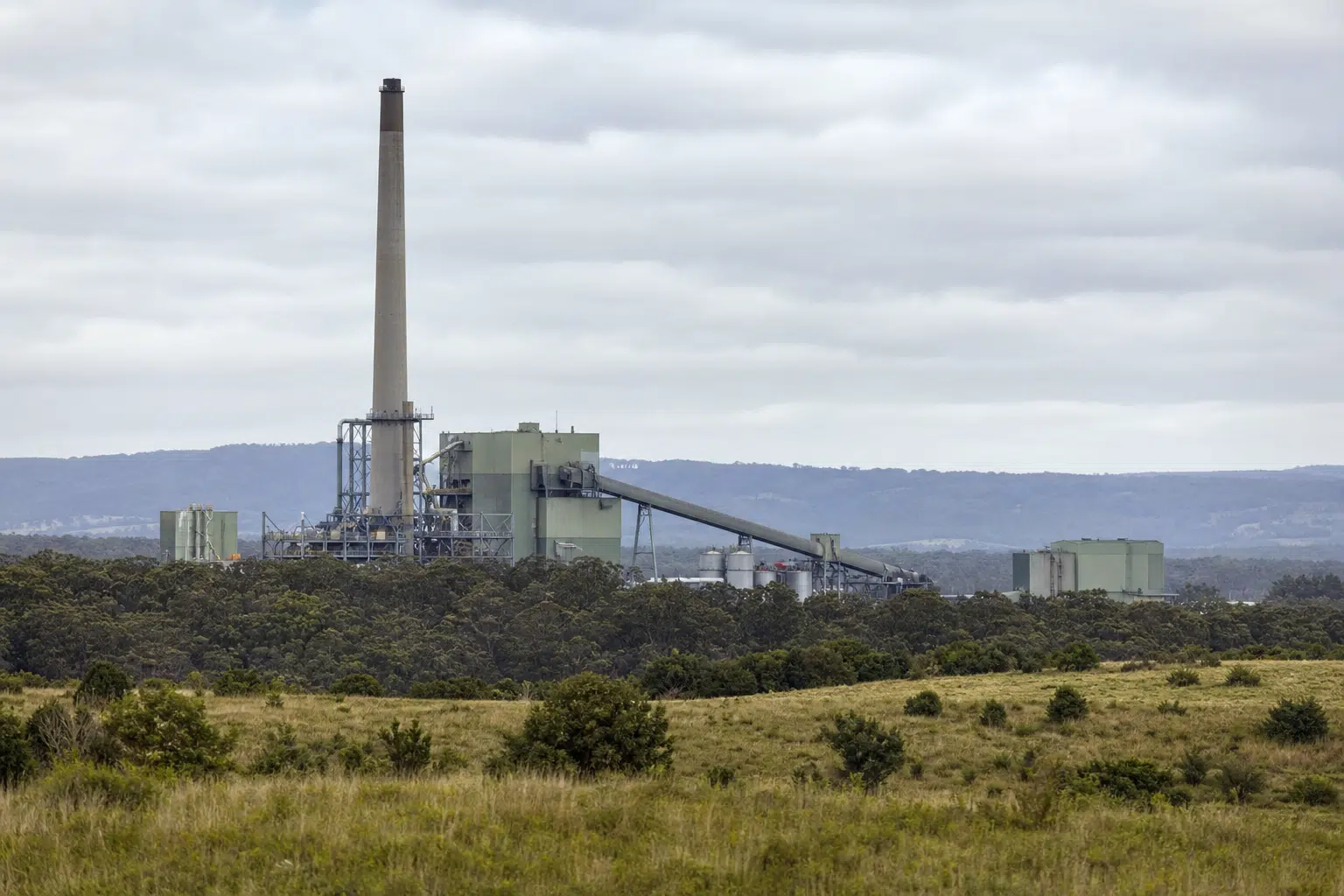 NSW Inquiry Urges Halt to Regional Incinerator Plans