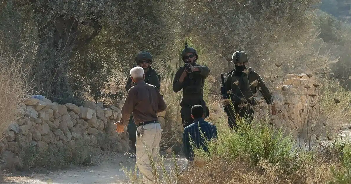 Settlers Attack West Bank Olive Pickers, Journalists Detained